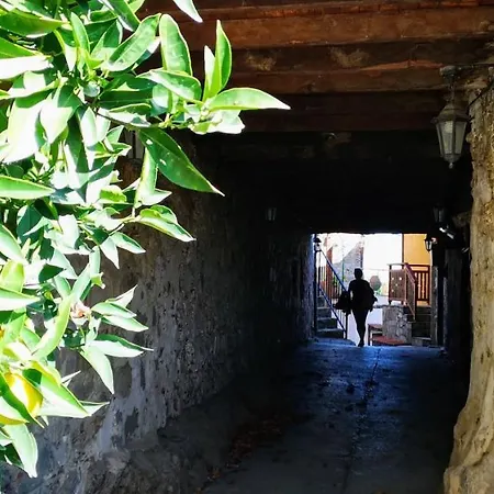 Mountain Traditional Village House Writer's Retreat Casa de Férias Limassol